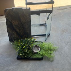 Reptile Aquarium
