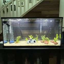 55 Gallon Aquarium 