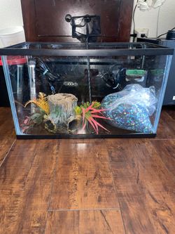 fish tank