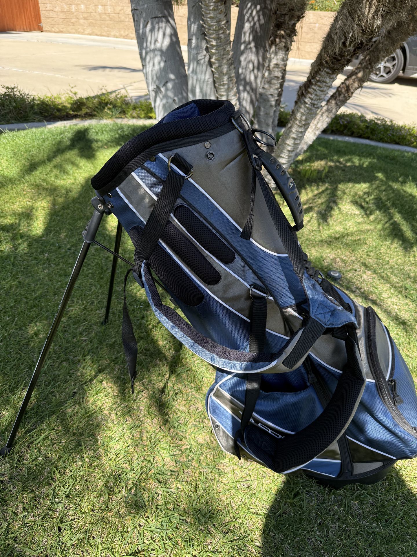 Cobra Golf Bag