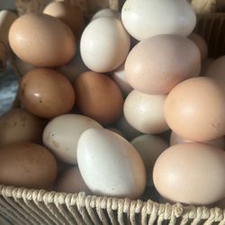 Se Venden Huevos De Rancho
