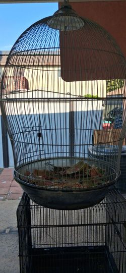 Jaulas para pajaros