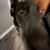 isaac57