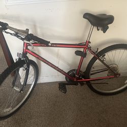 Pacific Bike (Strike) 