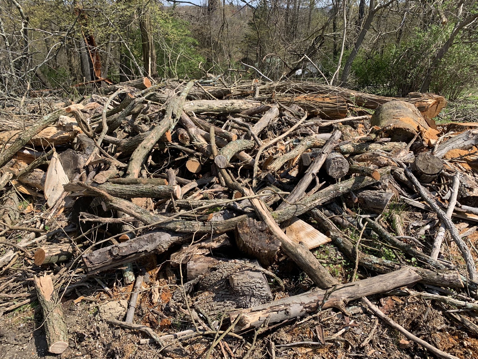 FREE - Firewood