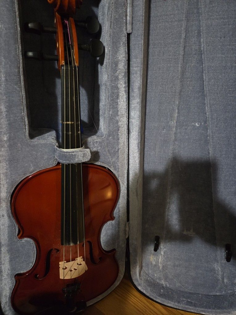 Violin