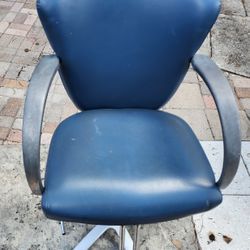  Adjustable Barber & Beauty Salon Chair 