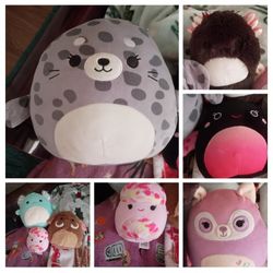 Squishmallow Assortment For Sale