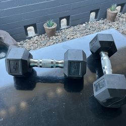 15 Lb Dumbbell Weights