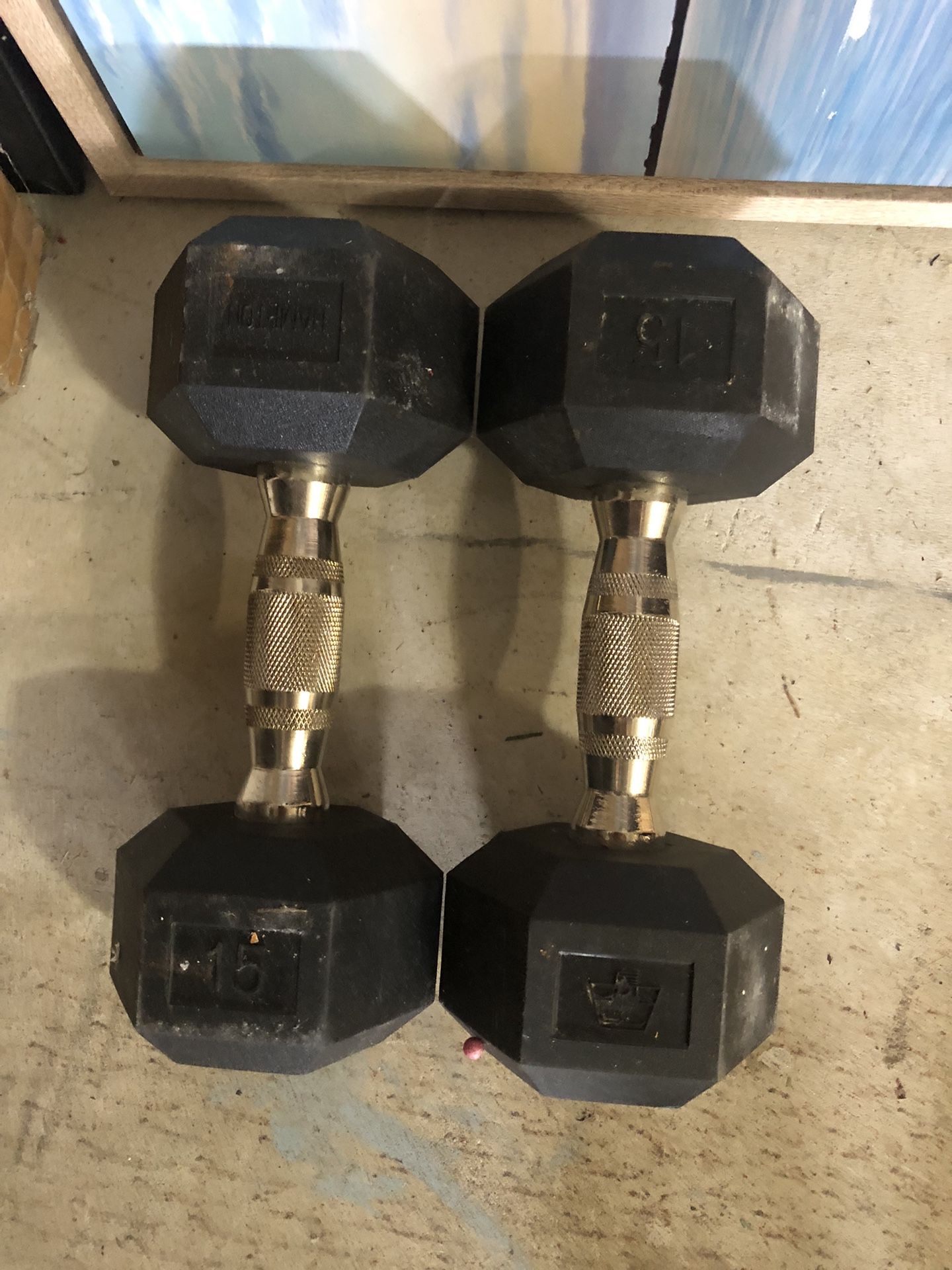 15lb Hex Dumbbells