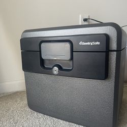 SentrySafe HD4100 Fireproof Safe and Waterproof Safe with Key Lock 0.65 Cubic Feet 