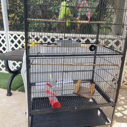 Wrought Iron Large Bird Cage On Wheels
