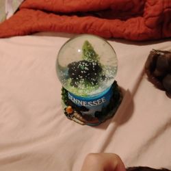 Tennessee Snow Globe