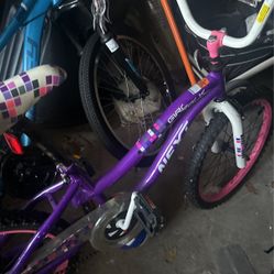 20” Dynacraft NEXT Girls Talk Bike. Great Condition 