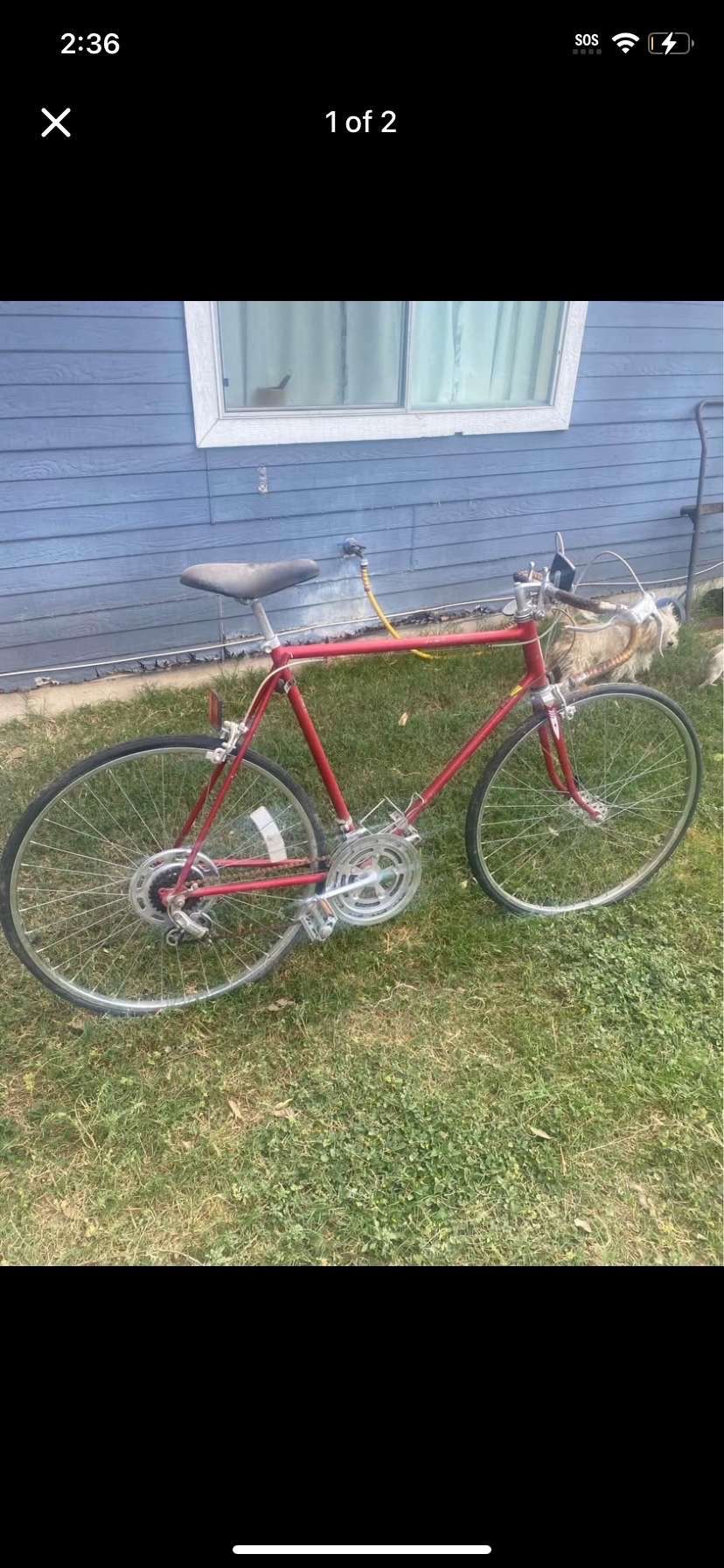 schwinn fastback bike