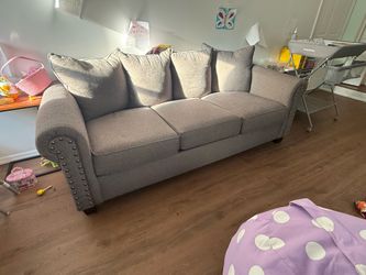 2 Raymour Flannigan sofas