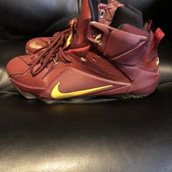 Lebron on sale 12 maroon