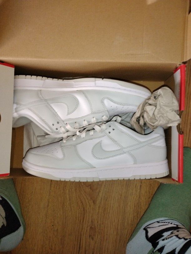 Nike Dunks Brand New