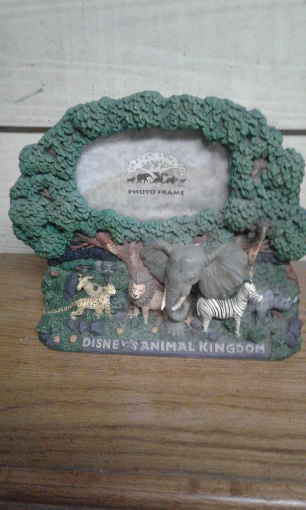 Disney Animal Kingdom Photo Frame For In Memphis Tn Offerup