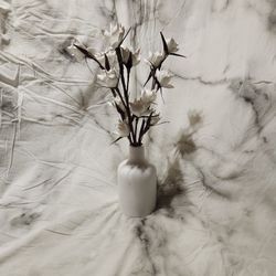 White Flowers in White Vase