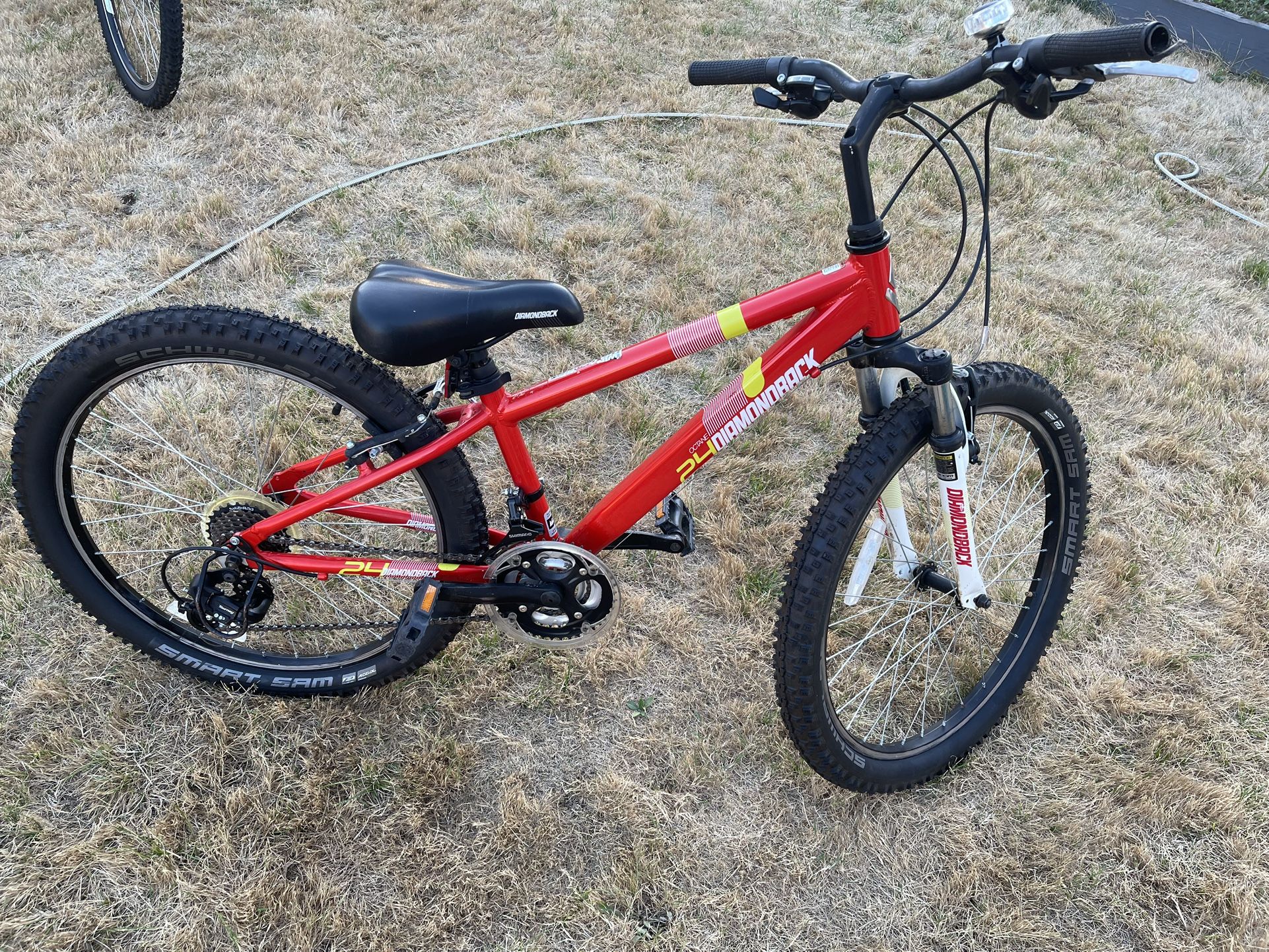 24” Diamondback Octane Kids/teen Bike