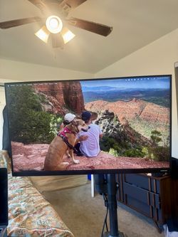 Sceptre and Samsung Monitor