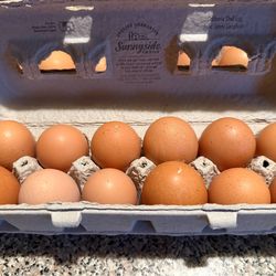 Organic Eggs- huevos organicos