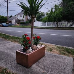 Flower Vases Arangments ..all Pixs For Only $65