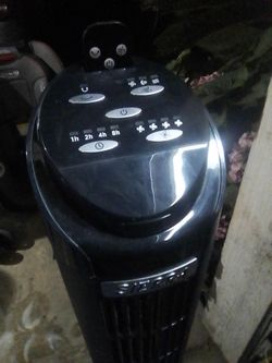 Fan