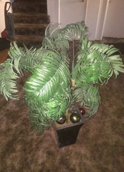 $10 3ft Artificial house plant