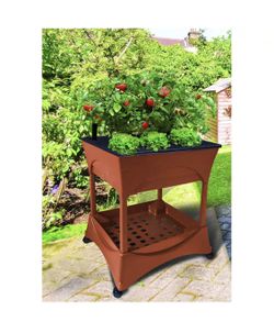 2 Easy Pickers Plastic Raised Garden Bed- Self Watering