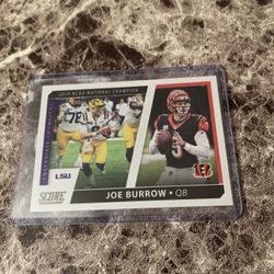 Burrow With Case