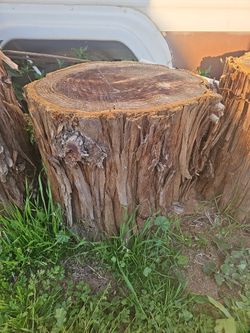 Sequoia Redwood Rounds