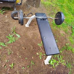 Bench And Weights 