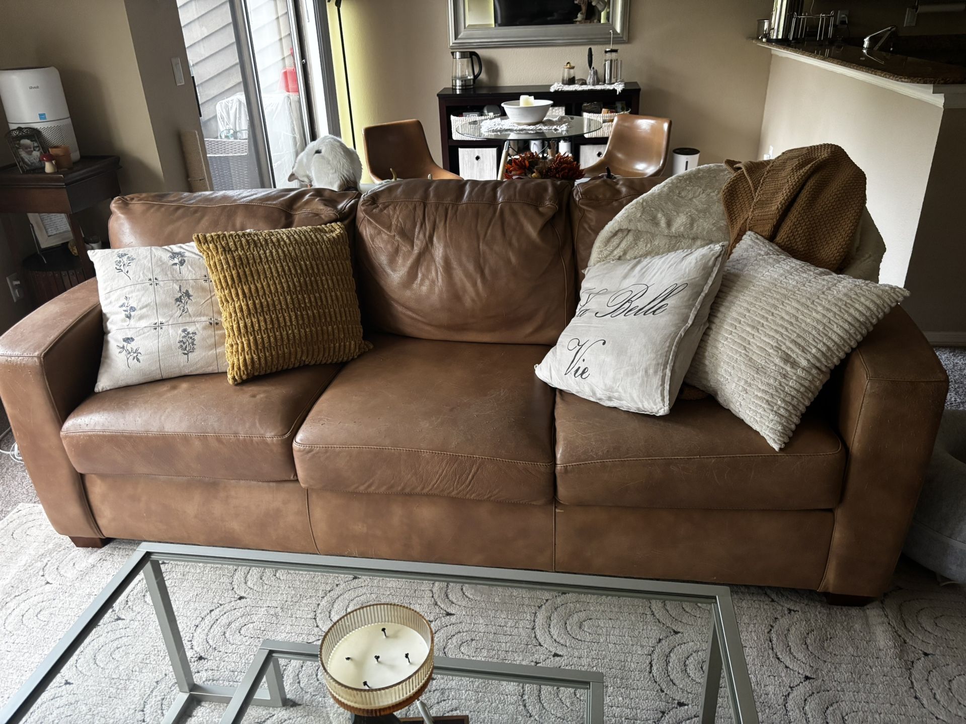 FREE Leather Couch