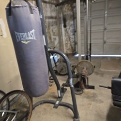 Everlast Punching Bag and Stand,. Great Condition. 100.00