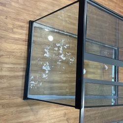 40 Gallon Tank 