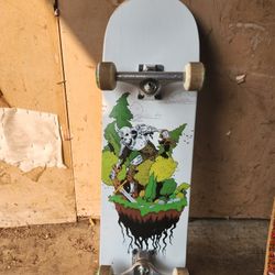 Last Day Skateboard NEW