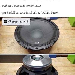 One New 12" Massive Audio Voice Speaker