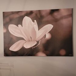 Large Canvas Wall Picture 46" Long X 30" High