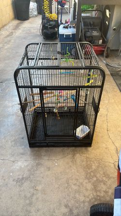 Bird Cage