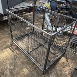 Large Dog Corral 