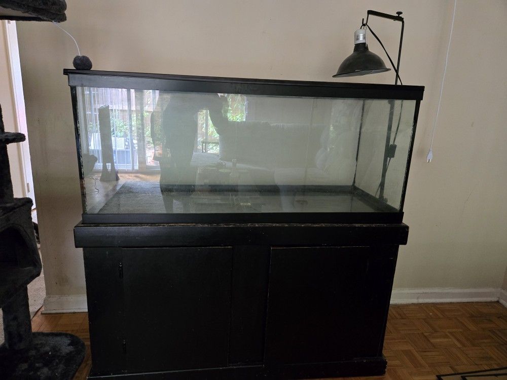 75 Gallon Tank And Stand