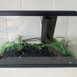 2.5 Gal Fish Tank With All The Decor 