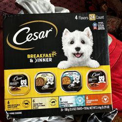 Caja De Comida Para Perros 🐕 