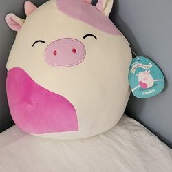 11" Caedyn The Pink Spotted Cow SQUISHMALLOW. NWT