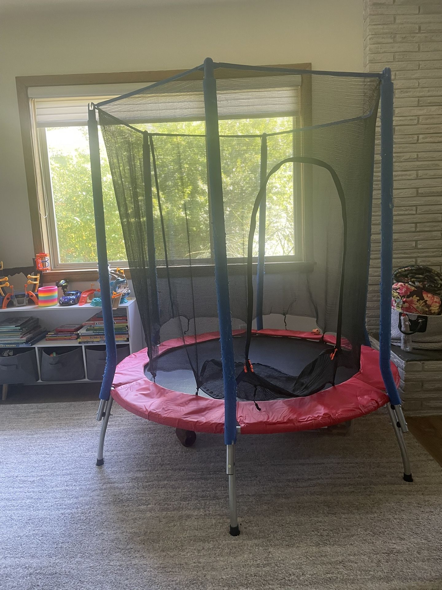 Free 55” Trampoline!