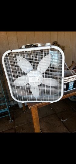 Fan