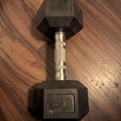 25LB Dumbbell 