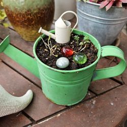 Garden Plant Whis Pot 